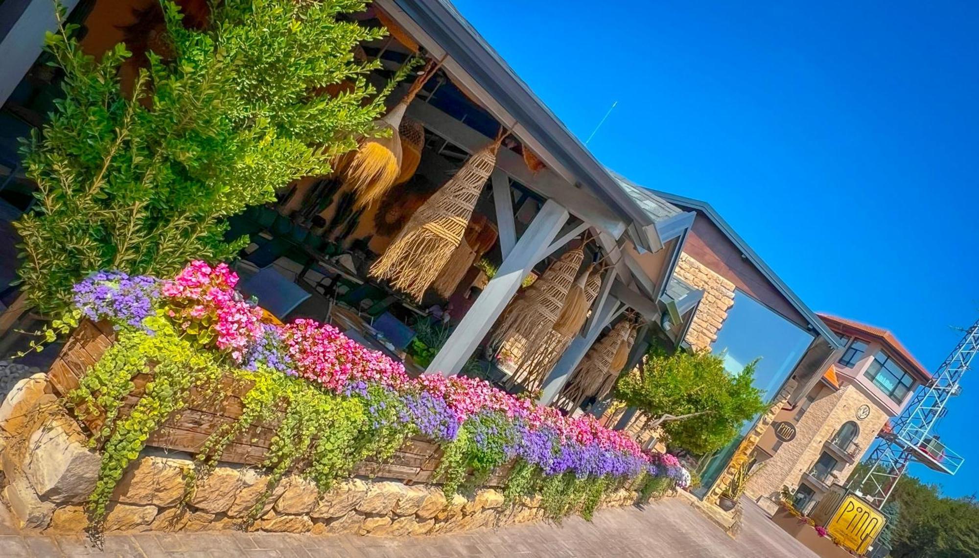 Pino - Villa, Casa, Cucina Е Terrazza อัลเบนา ภายนอก รูปภาพ